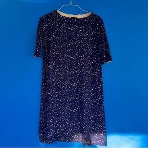 J Crew Merino Wool Dress